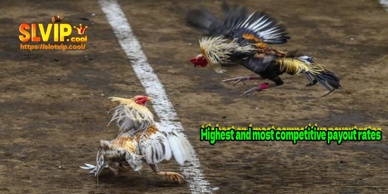 Highest and most competitive payout rates