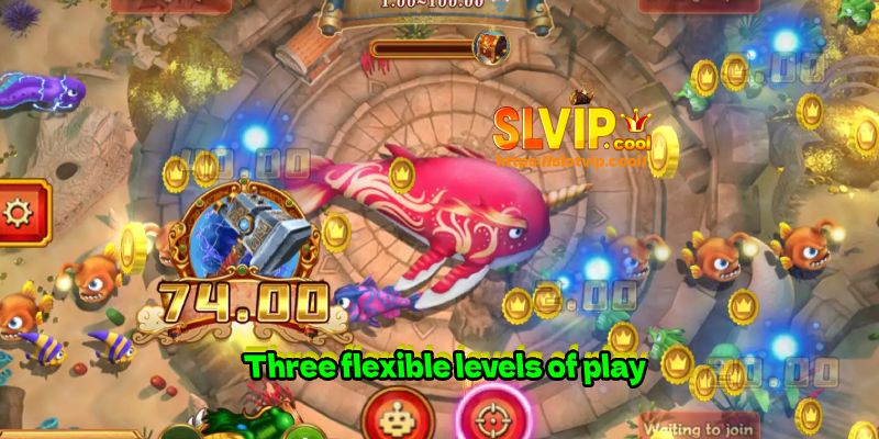 Three flexible levels of play
